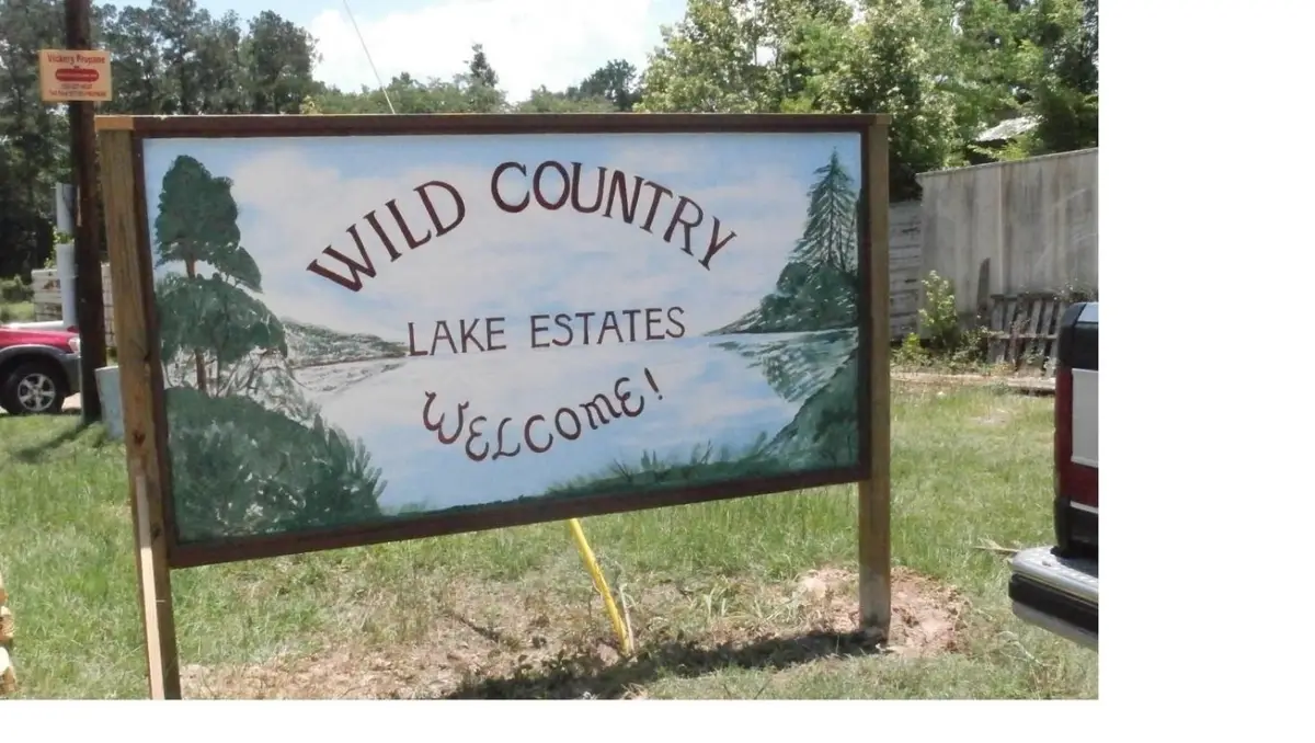 254 Bobby Baer Road, Livingston, TX 77351 - #1