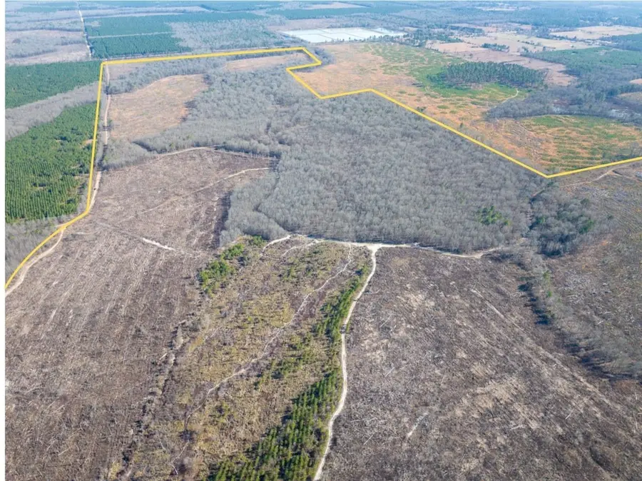 1 Highway 37, Bagwell, TX 75412 - #2