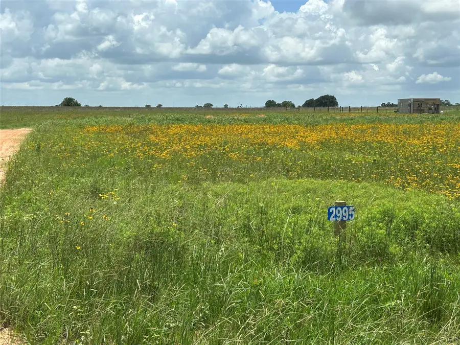 2995 Meier Road S, Sealy, TX 77474 - #2