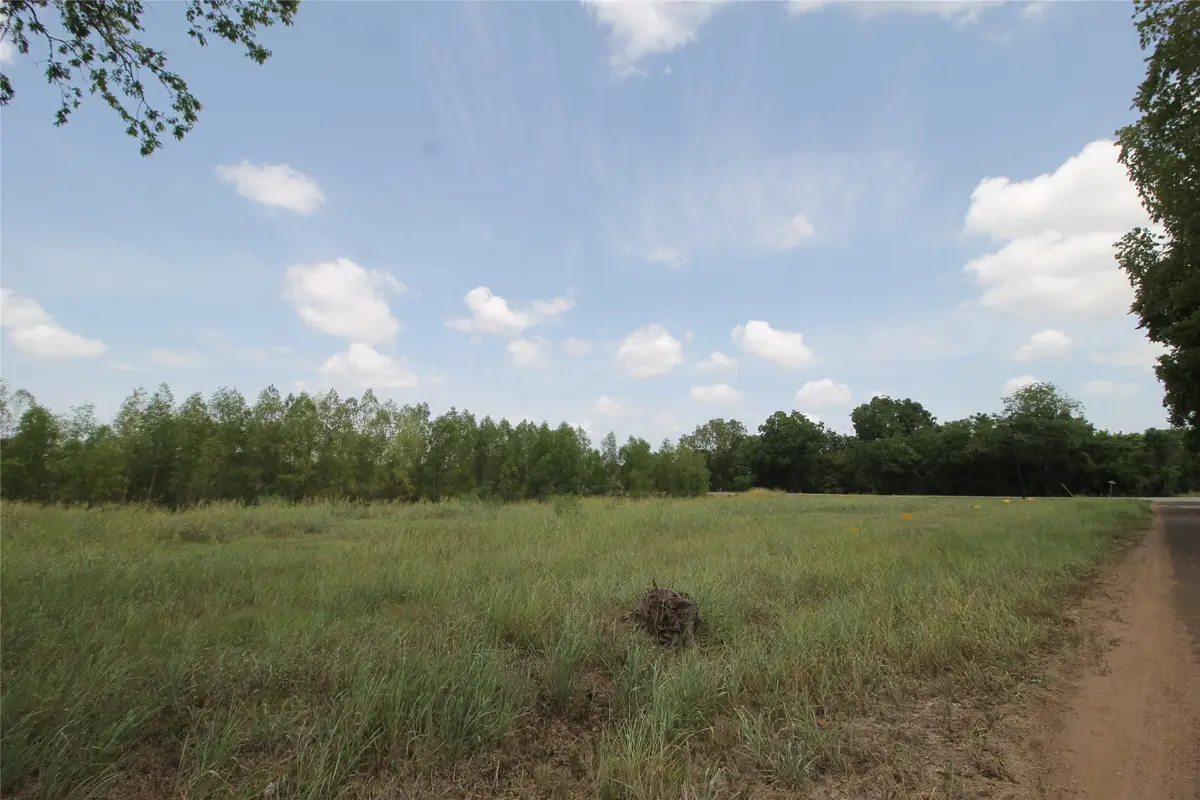 Lots 1-5 Washington Street, Hempstead, TX 77445 - #1