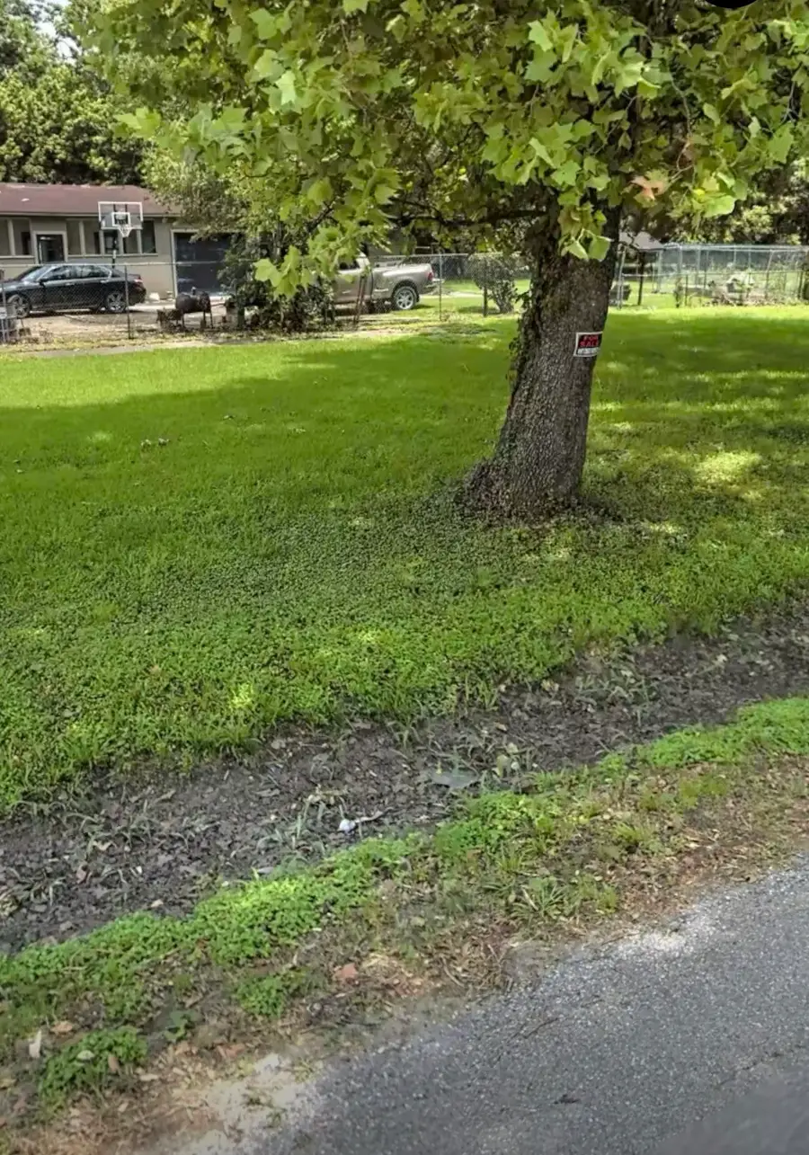 6811 Bonita Street, Houston, TX 77016 - #2
