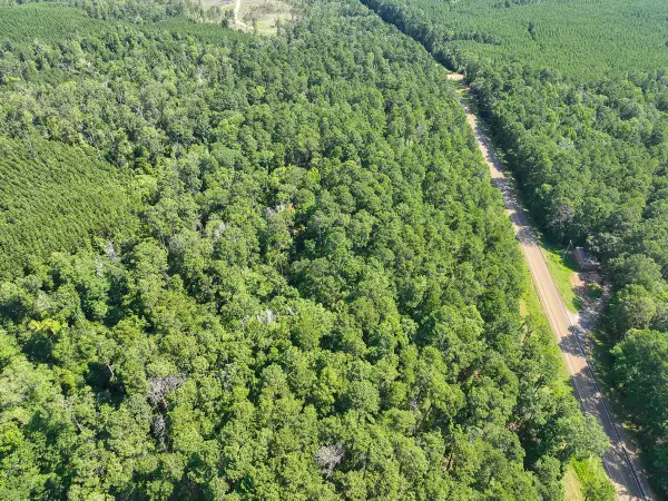 3 Highway 87, Milam, TX 75959