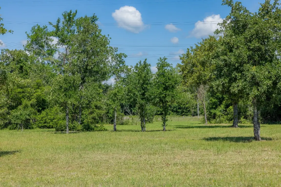 6757 Atakapan Trail, Bedias, TX 77831 - #1