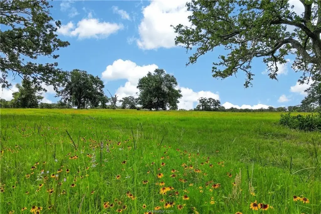 11648 Fm 2000, Caldwell, TX 77836 - #1