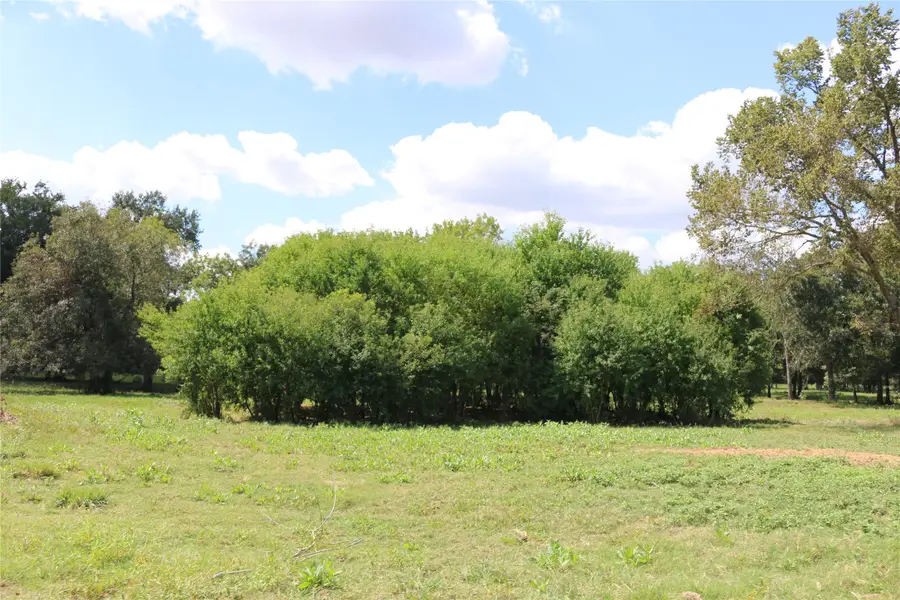 TBD Derby Lane, Madisonville, TX 77864 - Image #2