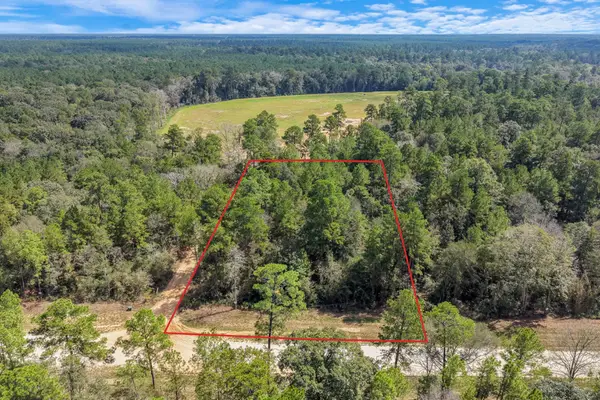12109 Dawn Tree Lane, Willis, TX 77378