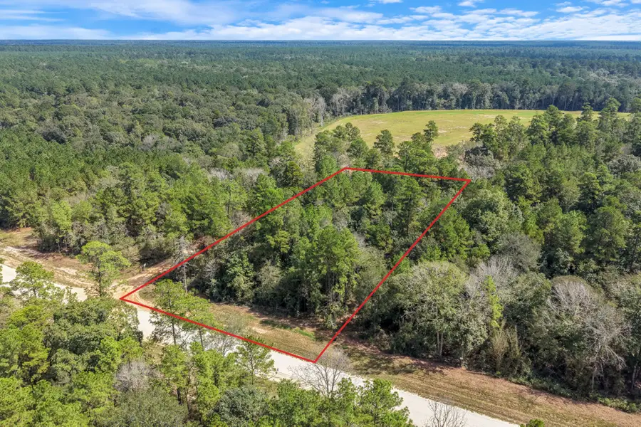 12109 Dawn Tree Lane, Willis, TX 77378 - #2