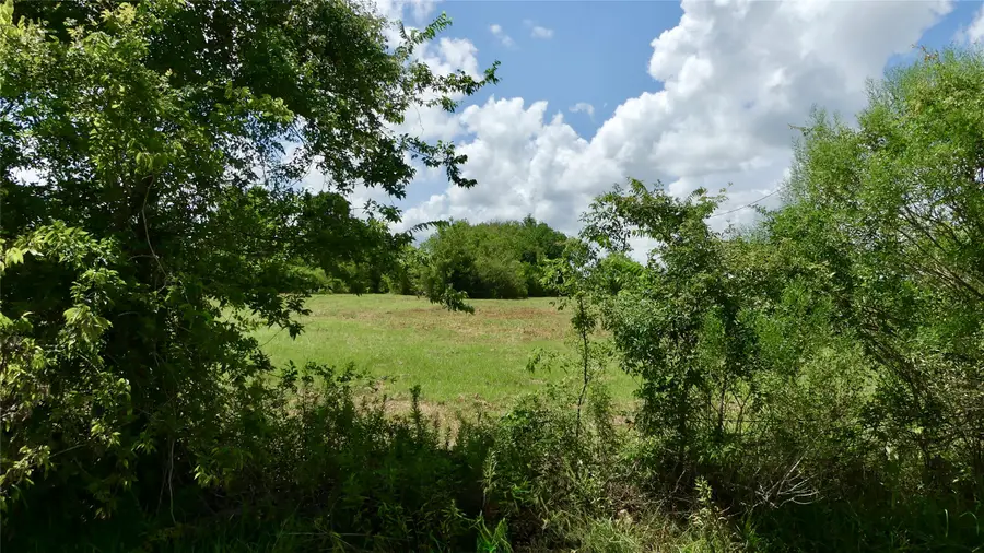 7806 Mckeever Road, Pearland, TX 77584 - #3
