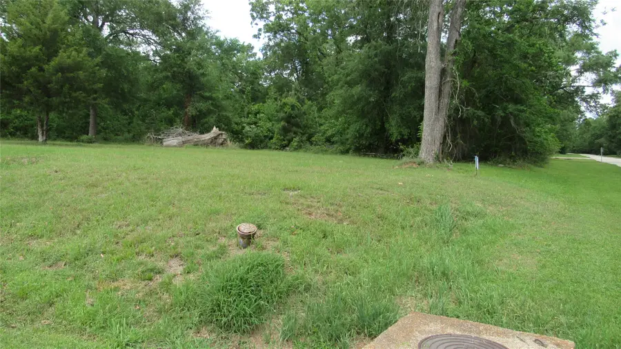 TBD Lot 23 Autumn Lane, Livingston, TX 77351 - #2