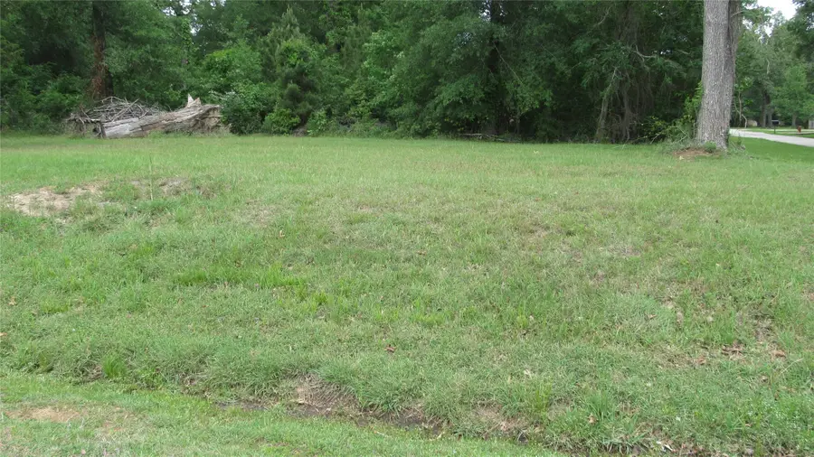 TBD Lot 23 Autumn Lane, Livingston, TX 77351 - #3