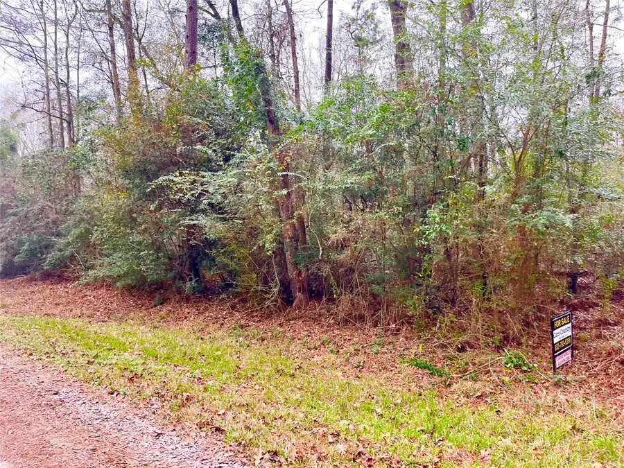 TBD Pine Valley Drive, Shepherd, TX 77371 - #3