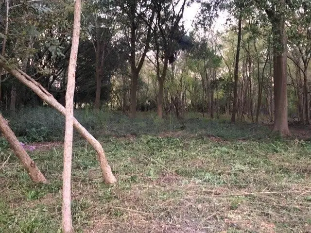 0 Tower, Houston, TX 77088 - #3