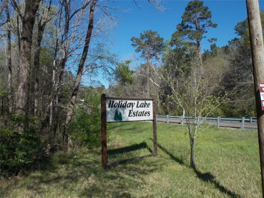412 Driftwood Drive, Goodrich, TX 77335 - #3
