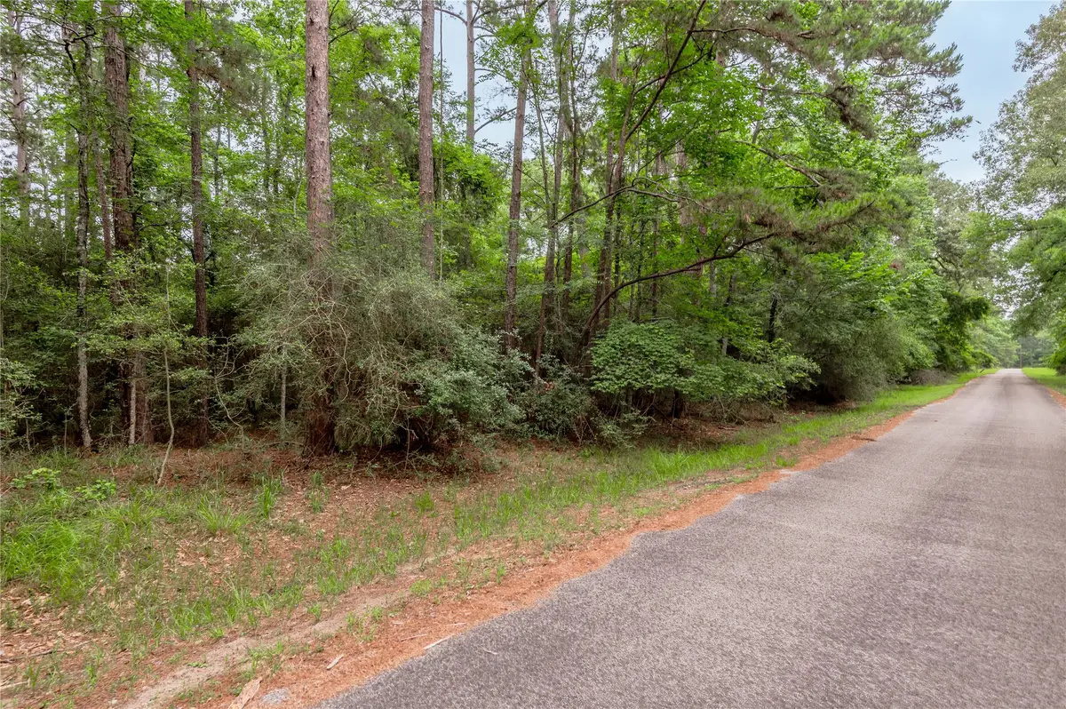 389 Live Oak Drive, Trinity, TX 75862 - #1
