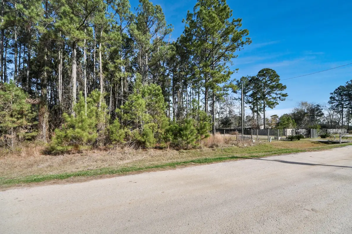 1319 County Road 3479j, Cleveland, TX 77327 - #1