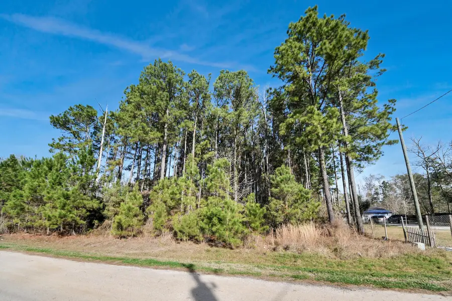 1319 County Road 3479j, Cleveland, TX 77327 - #2