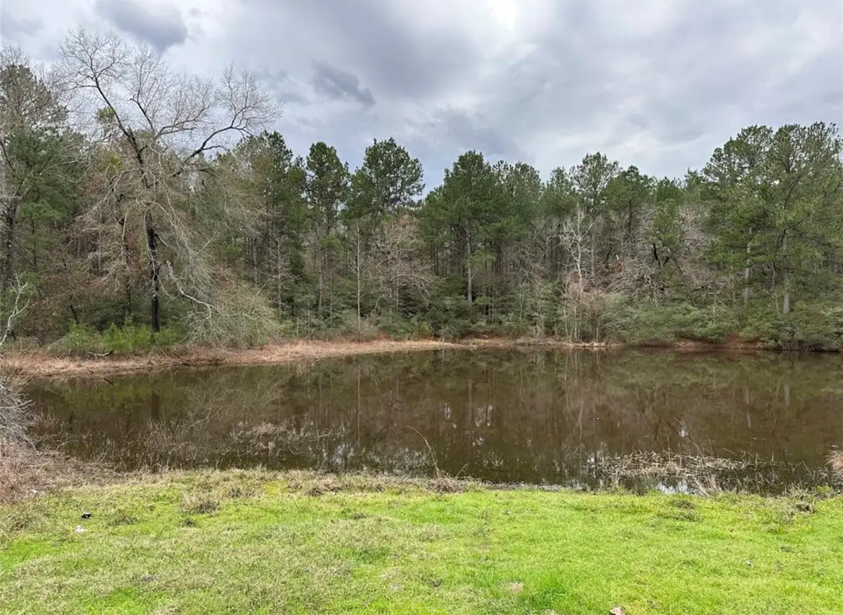 67 & 68 Nottoway Lane, Trinity, TX 75862 - #1