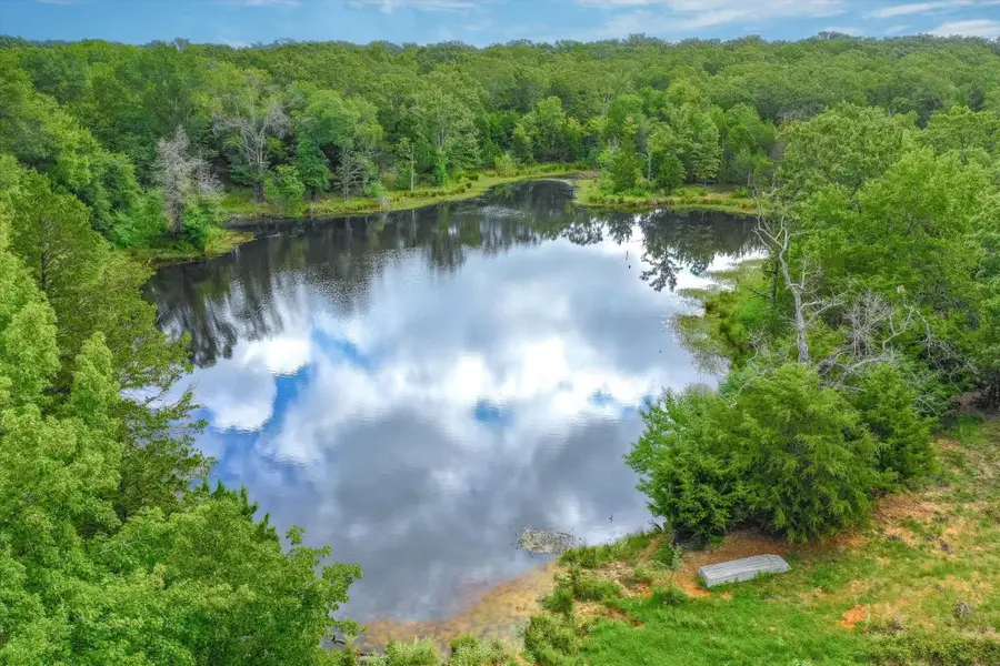 80(+/-) Acres Private Road 531, Grand Saline, TX 75140 - #3