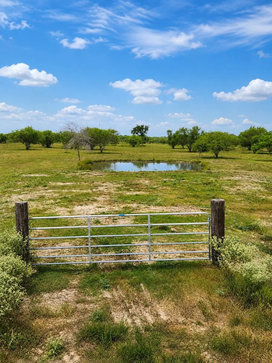 13530 Moody Road, Needville, TX 77461 - #3