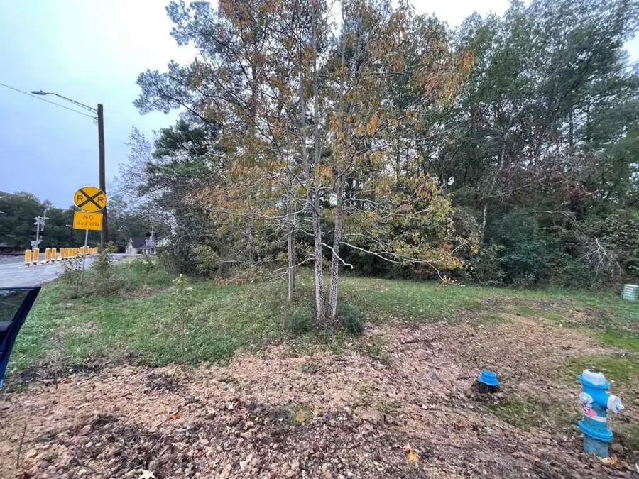 Lot 23 Nogalus Drive, Houston, TX 77532 - Image #2