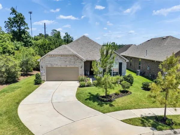 223 Spotted Saddle Court Court, The Woodlands, TX 77382