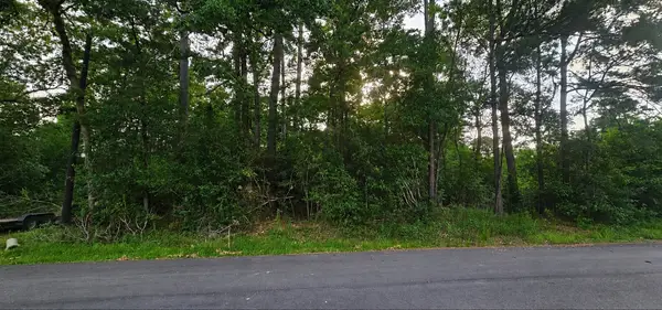 15715 Holly Drive Drive, Montgomery, TX 77356