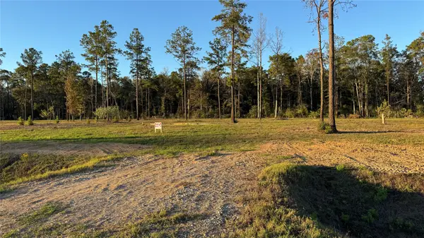 20039 Kincaid Drive, Conroe, TX 77306