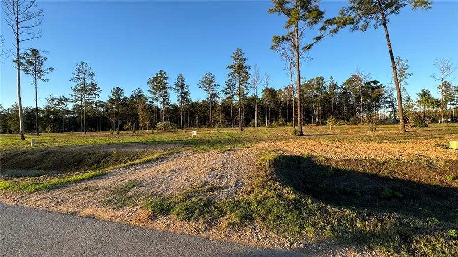 20039 Kincaid Drive, Conroe, TX 77306 - Image #2