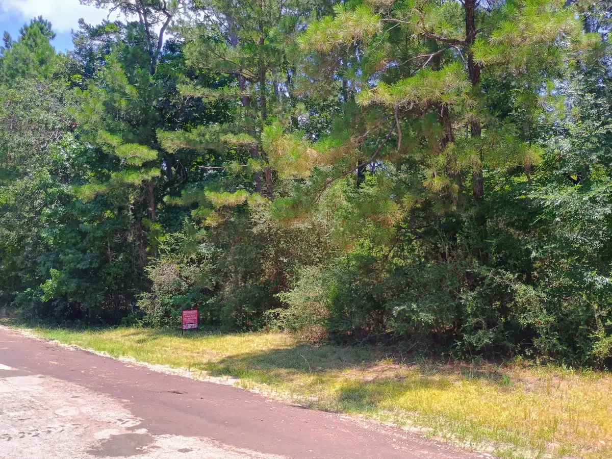 0 Tbd Port Boulevard, Trinity, TX 75862 - #1