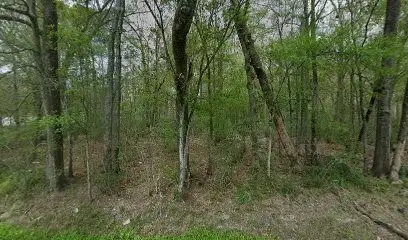 1555 Cherokee Street, Vidor, TX 77662 - #2