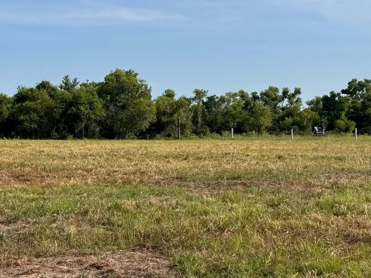 Tract 2 Kveton, Cat Spring, TX 78933 - #1