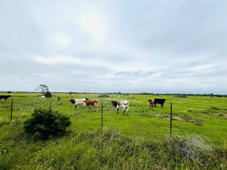 Tract 2 Kveton, Cat Spring, TX 78933 - #2