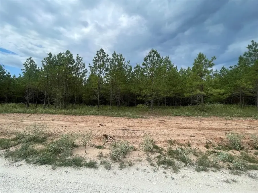 TBD Queen Anne Way, Huntsville, TX 77340 - #3