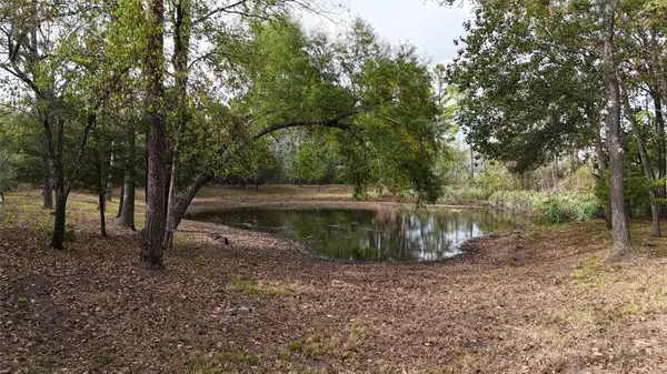 190 Andrea Lane, Coldspring, TX 77331