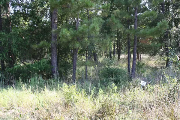 Lot 3 Morris Lane, Huntsville, TX 77320