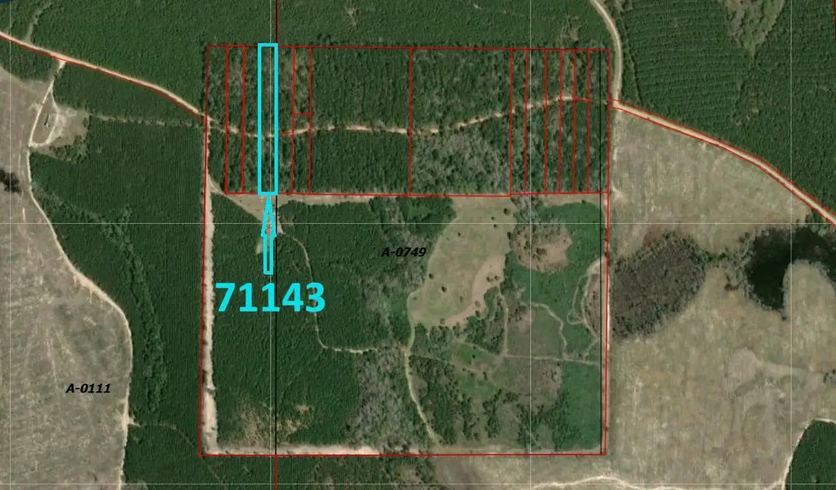 71143 Camp Seale Road, Livingston, TX 77351 - #1