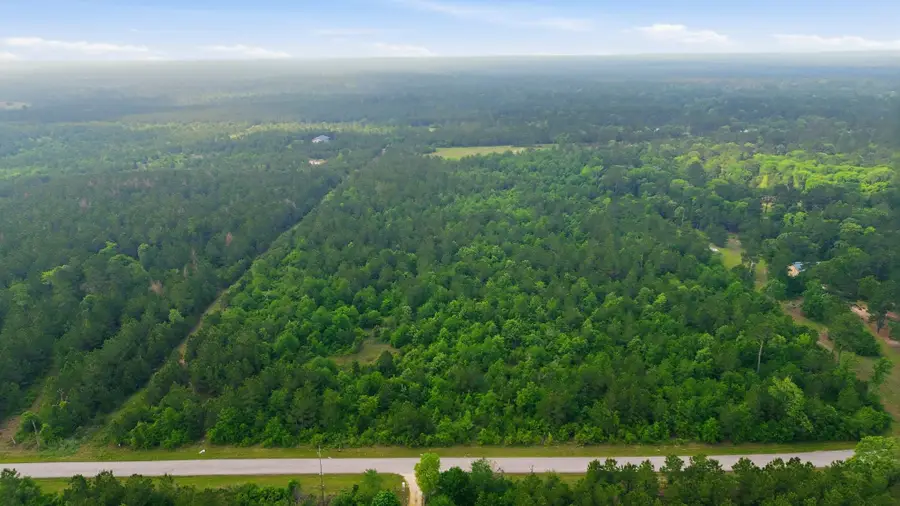 0 County Road 302, Plantersville, TX 77363 - #2