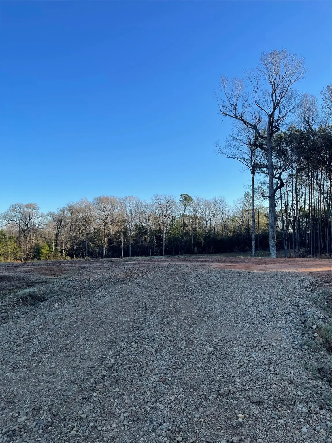 11374 Annie Creek Drive, Willis, TX 77378 - #1