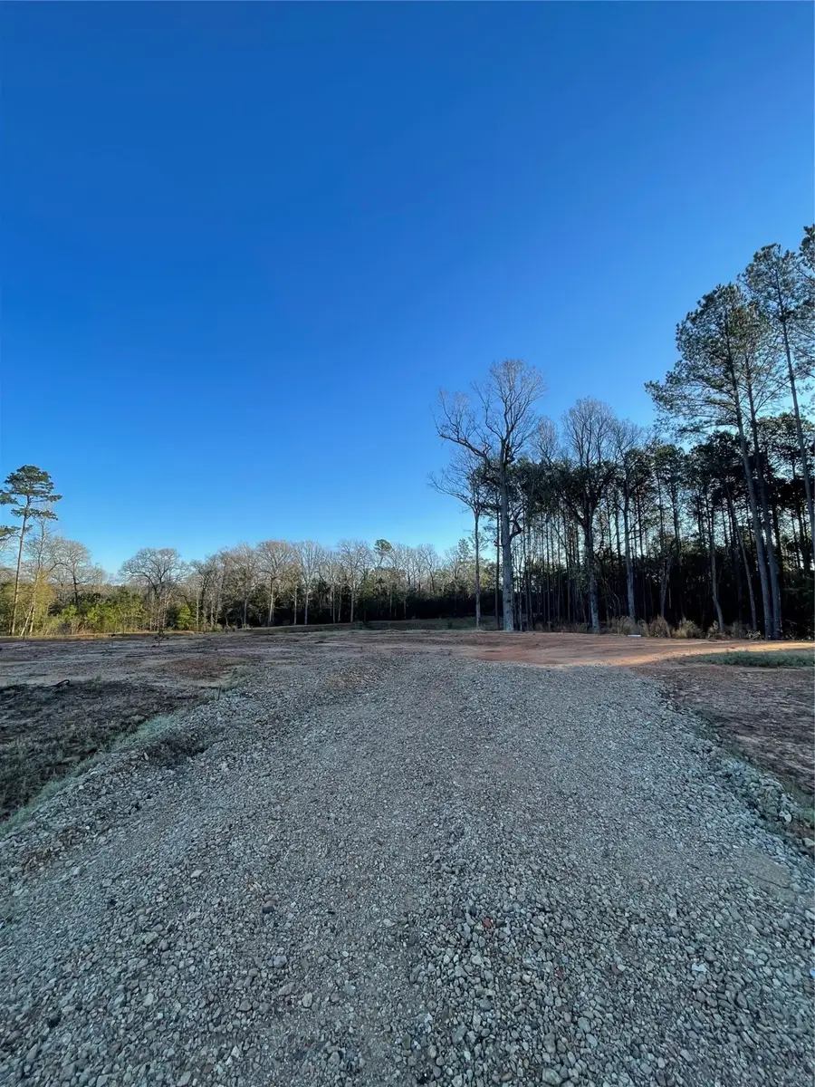 11374 Annie Creek Drive, Willis, TX 77378 - #2