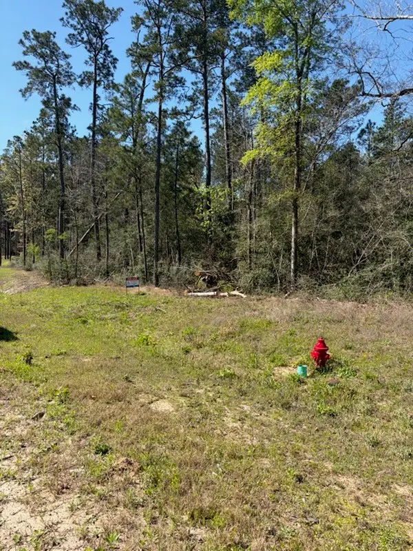 15633 Ridge Rock Road, Willis, TX 77378 - #3