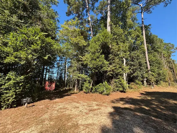 00 L C Herschap Lane, Livingston, TX 77351