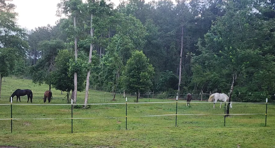 275 County Road 3215, Colmesneil, TX 75938 - Image #3