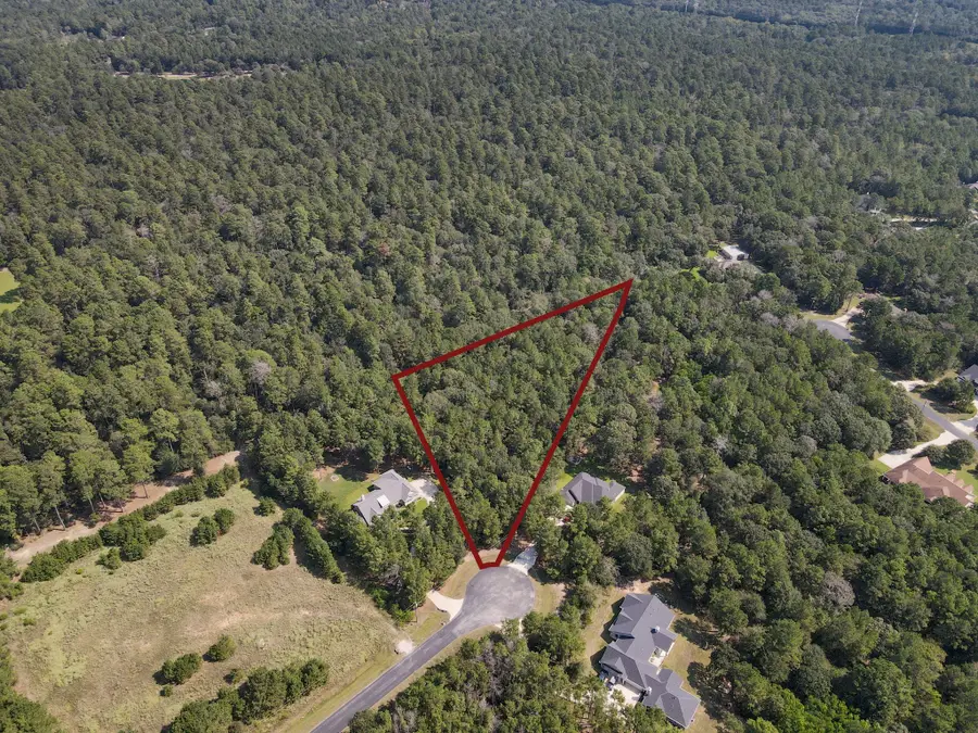 7715 Saddle Blanket Drive, Waller, TX 77484 - #2