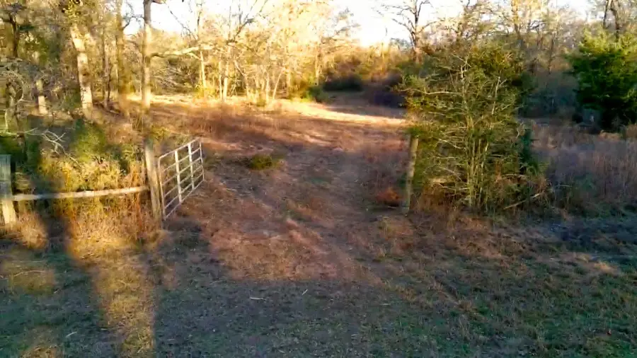 18503 Derrick Road, Navasota, TX 77868 - #3