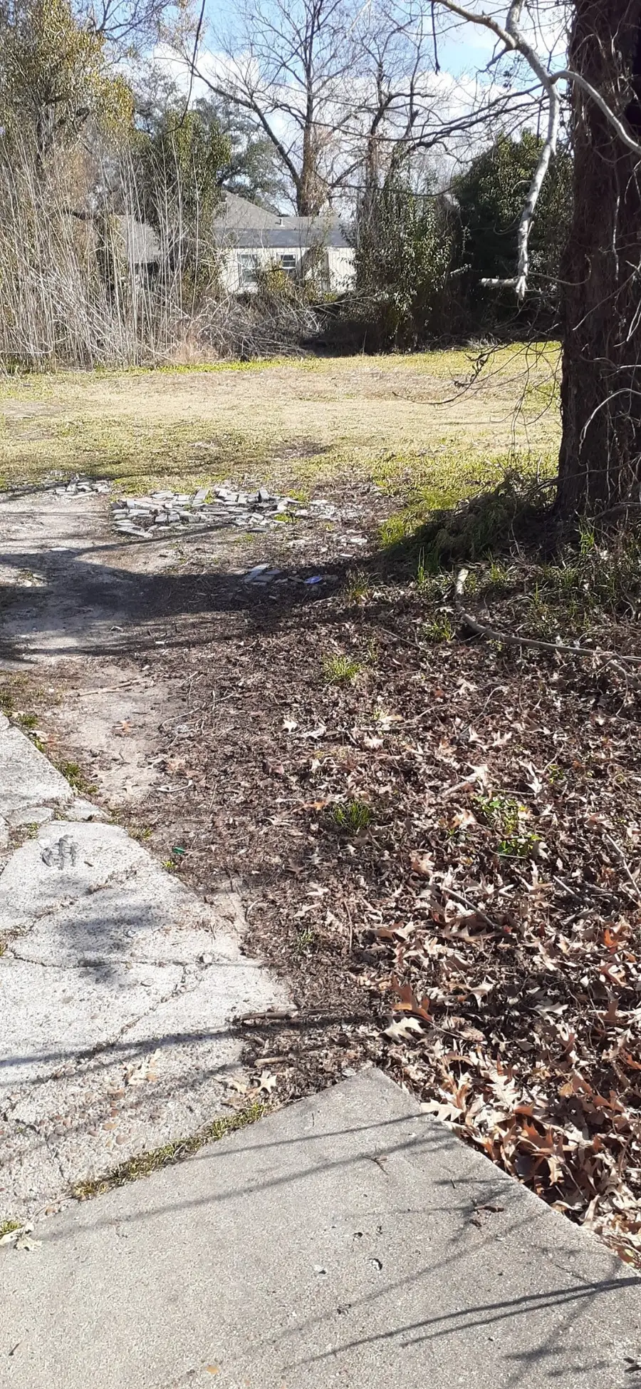 7031 Foster Street, Houston, TX 77021 - #3