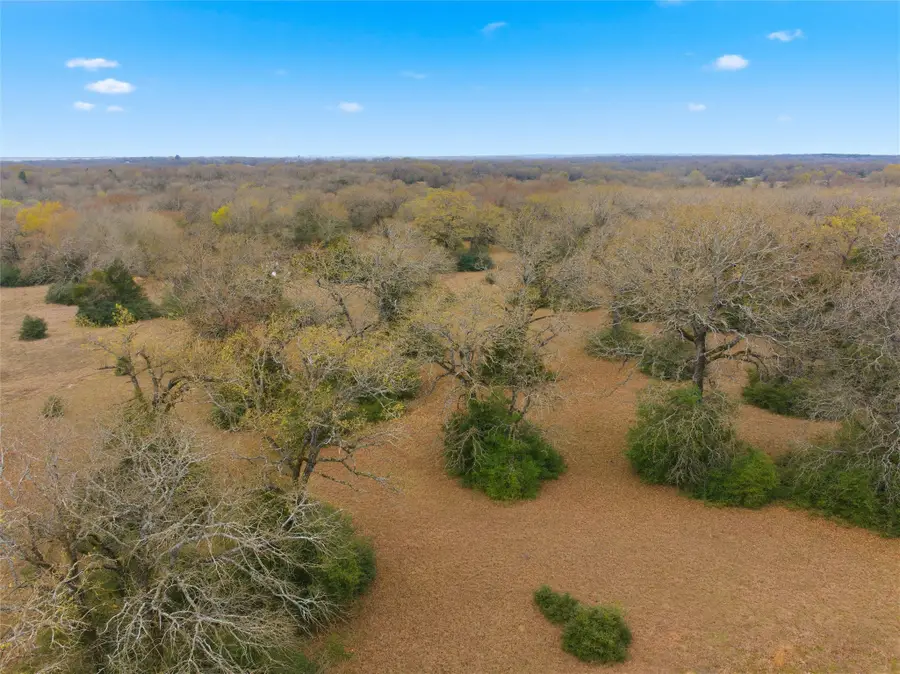 TBD Fm 3371, Groesbeck, TX 76642 - #3