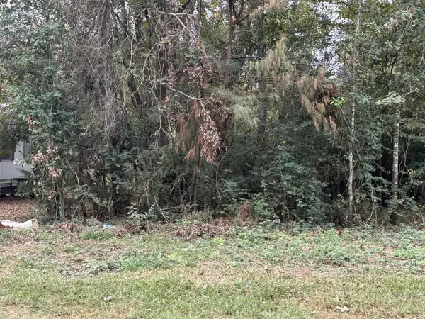 929 Mudd Street, Coldspring, TX 77331