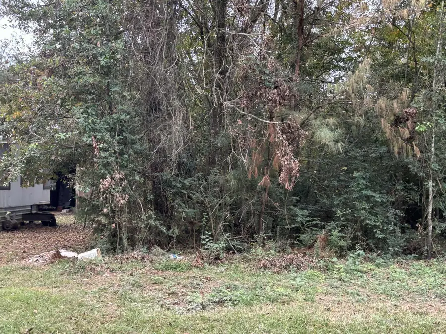 929 Mudd Street, Coldspring, TX 77331 - Image #3