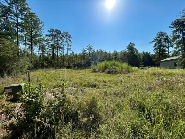 151 Ashbrook Lane, Brookeland, TX 75931