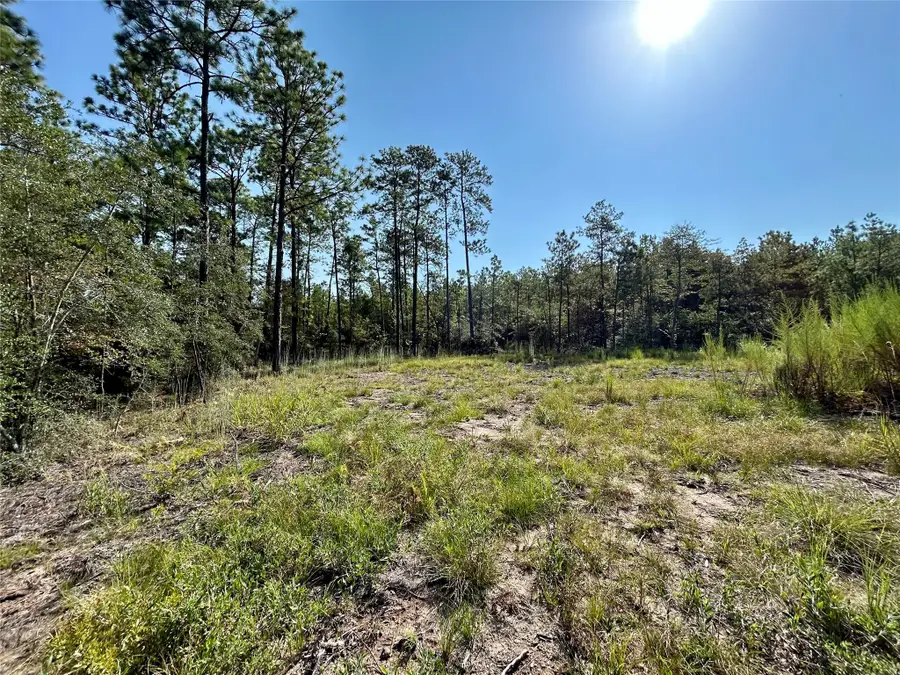 151 Ashbrook Lane, Brookeland, TX 75931 - #2